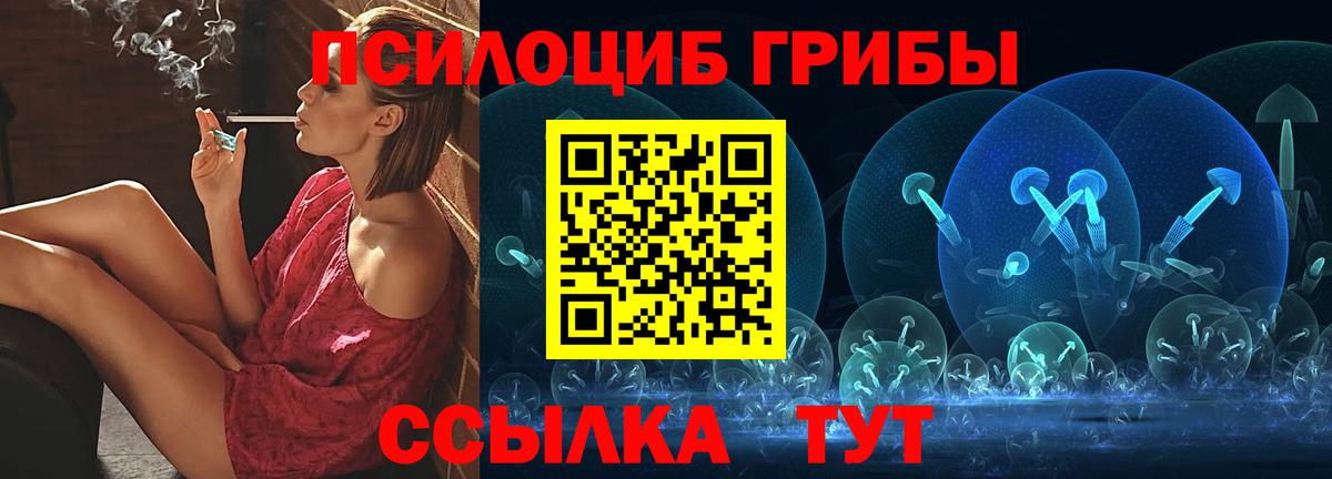 Обнинск  Галлюциногенные грибы Cubensis  Вход с VPN 